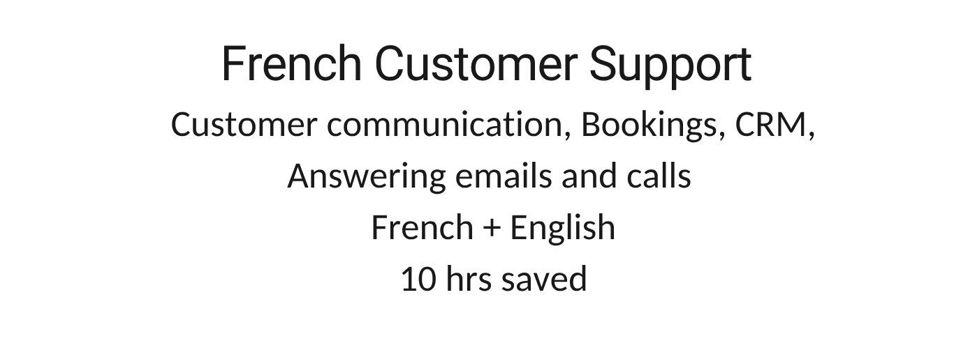 French customer support virtual assistant