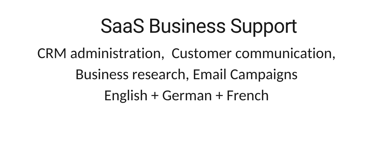 SaaS business support virtual assistant